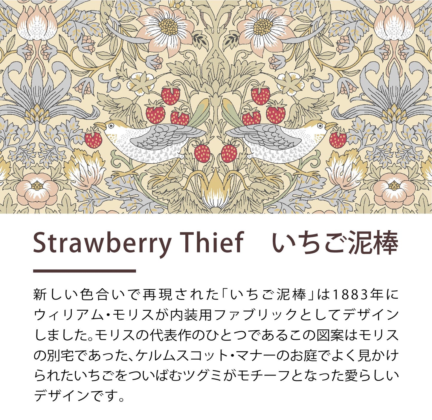 タオルケット・ハーフケット