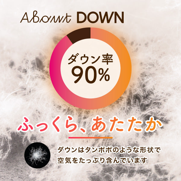 羽毛肌掛けふとん(通常タイプ)/ダックダウン
