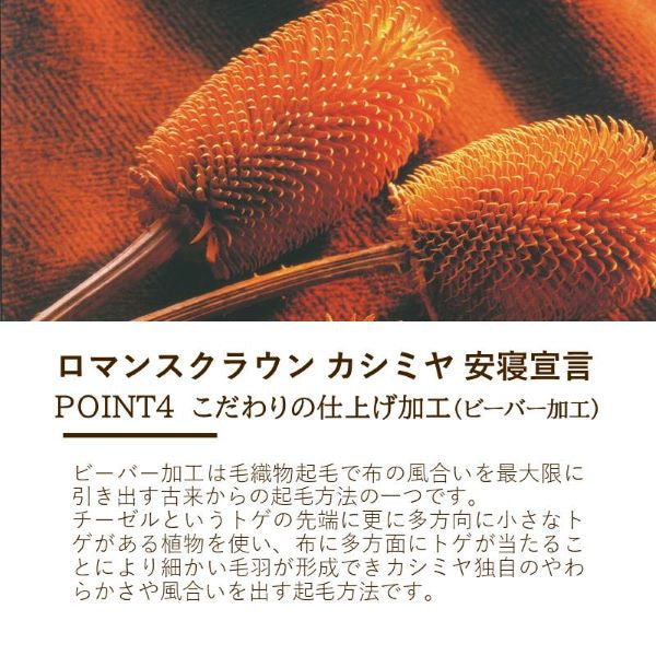 カシミヤ毛布 上質な肌ざわりが特徴 やわらかな肌ざわり