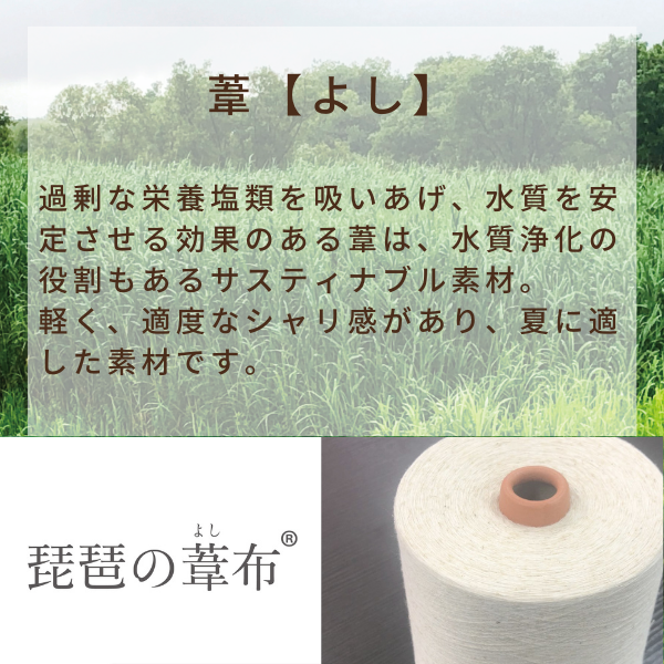 綿肌掛けふとん/葦・マニラアサ入り