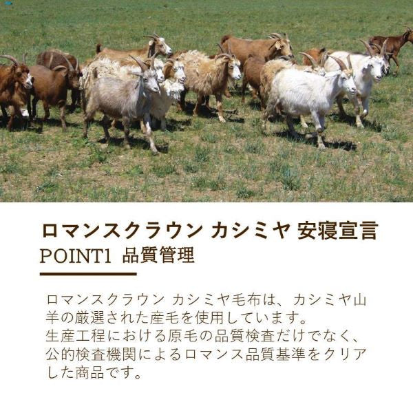 カシミヤ毛布 上質な肌ざわりが特徴 やわらかな肌ざわり