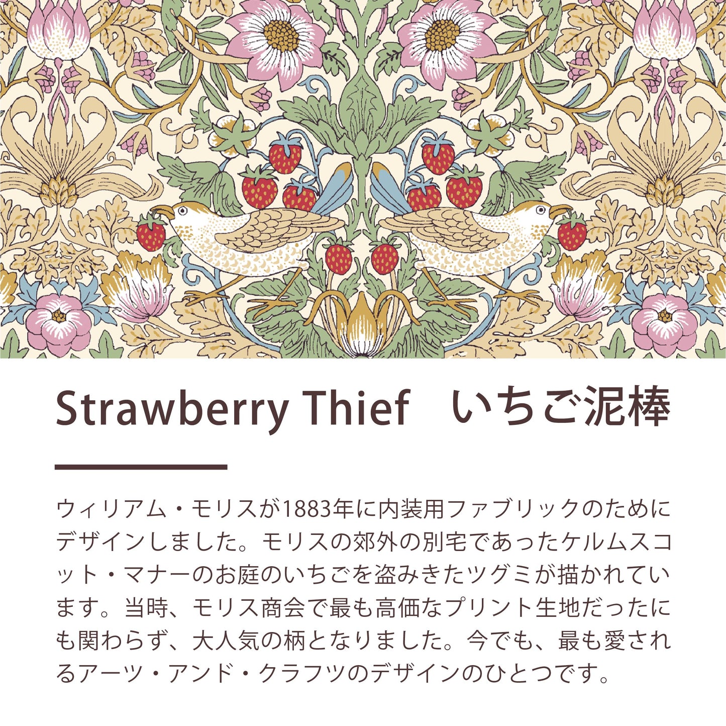 羽毛合い掛けふとん/ダックダウン(ダブルロングサイズのみ)