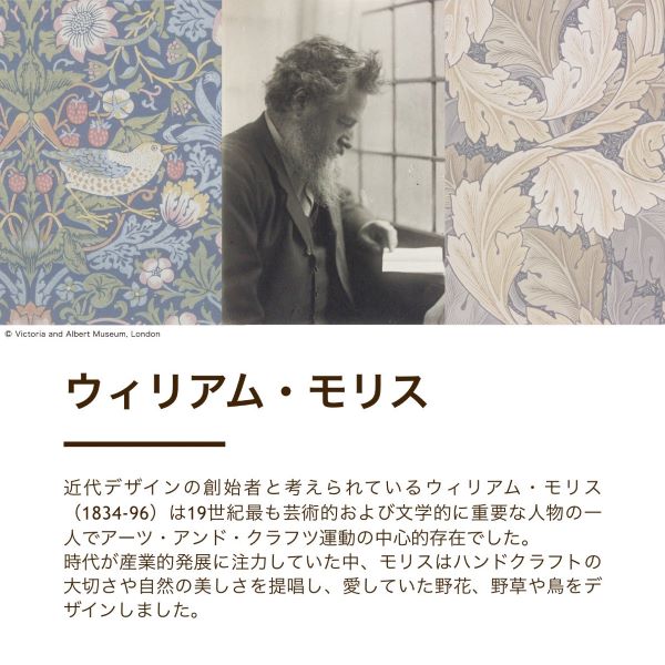 アクリル毛布(毛羽部分)/軽量タイプ