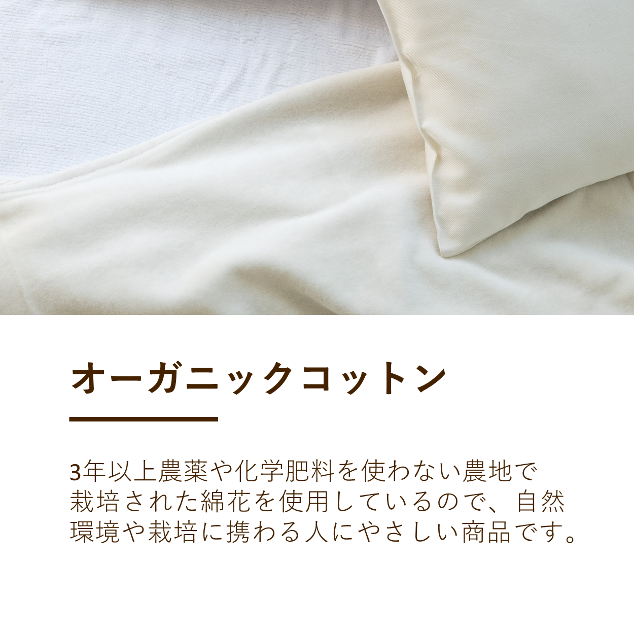 綿毛布(毛羽部分)/オーガニックコットン