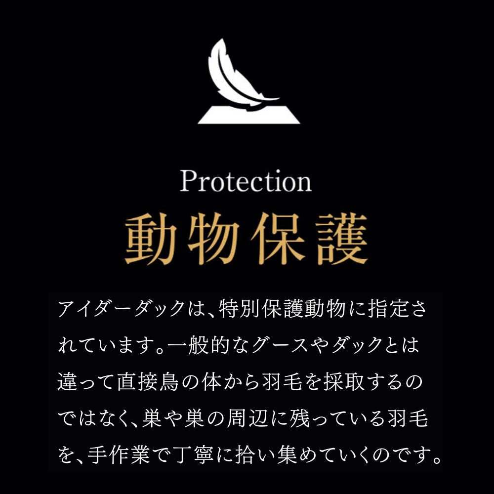 羽毛掛け・合掛け・肌掛けふとん/アイダーダウン95%