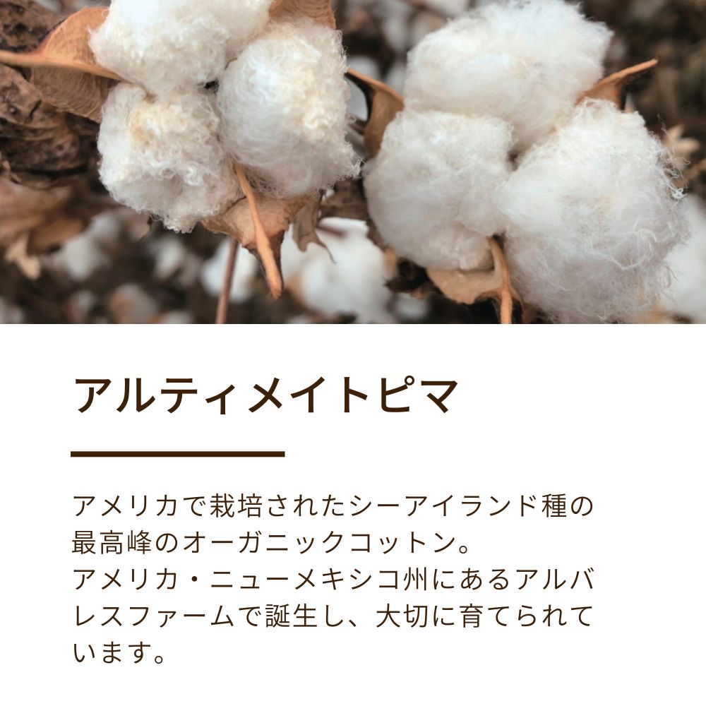 綿毛布(毛羽部分)