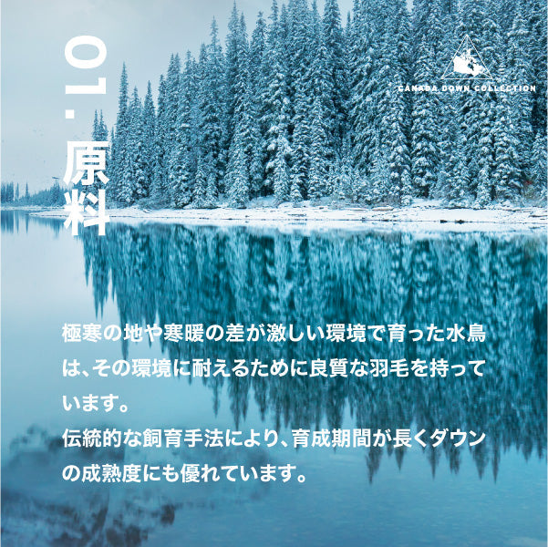 羽毛肌掛けふとん/グースダウン