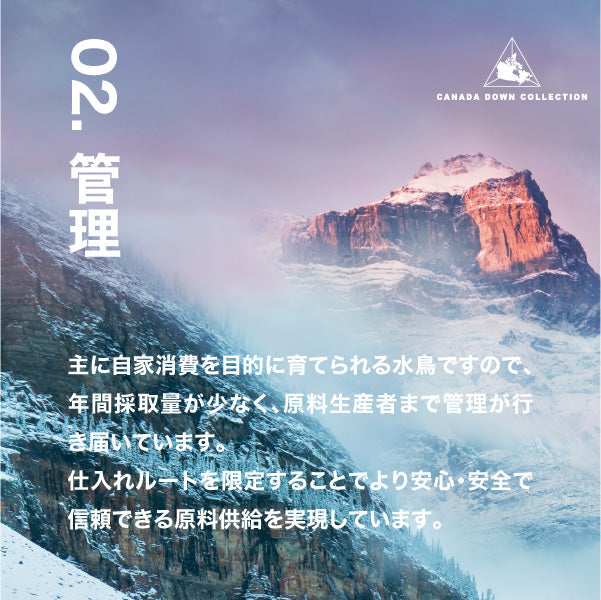 羽毛肌掛けふとん/グースダウン