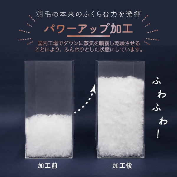 羽毛肌掛けふとん(通常タイプ)/ダックダウン