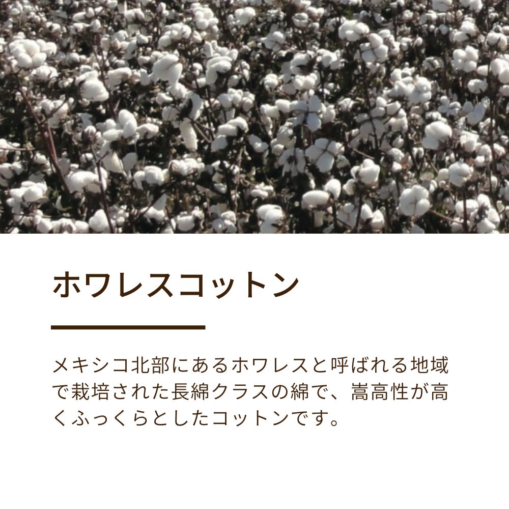 綿毛布（毛羽部分）