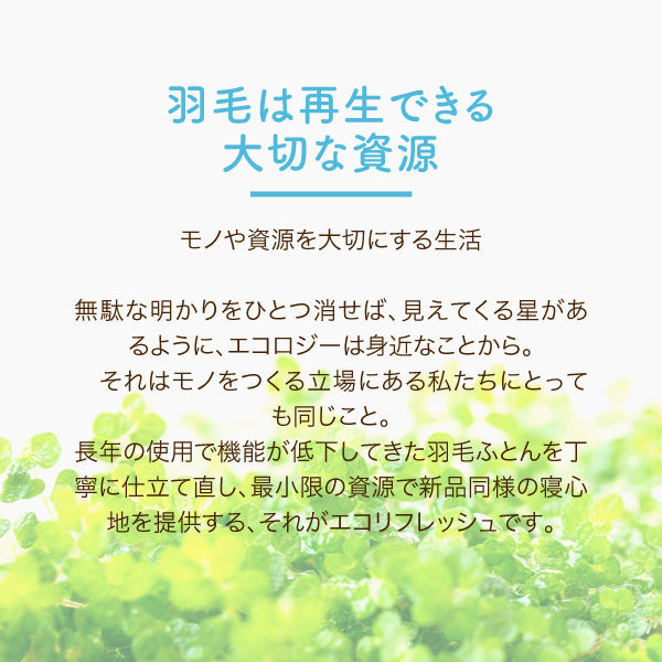 羽毛ふとんのリフォーム/ダブルロング→シングルロング/2枚合わせ