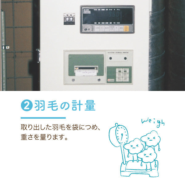 羽毛ふとんのリフォーム/ダブルロング→シングルロング/2枚合わせ