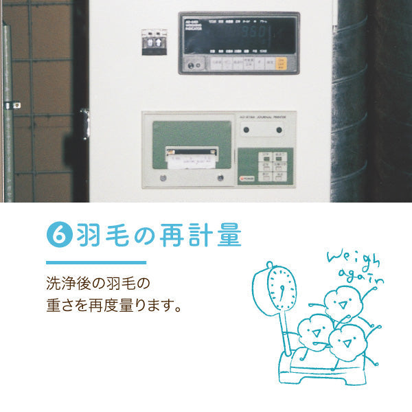 羽毛ふとんのリフォーム/シングルロング→シングルロング/レギュラーコース